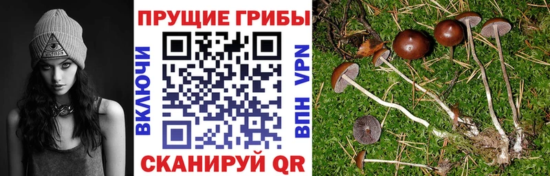 купить закладку  Билибино  Псилоцибиновые грибы мухоморы 